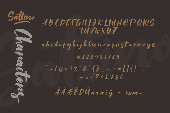 Saltino Script in Script Fonts - product preview 6