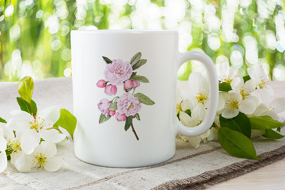 bechtels crab apple blossoms Vintage in Illustrations - product preview 3