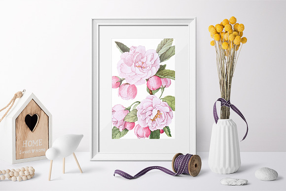 bechtels crab apple blossoms Vintage in Illustrations - product preview 4