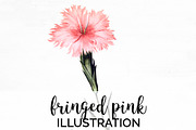 fringed pink Vintage Florals