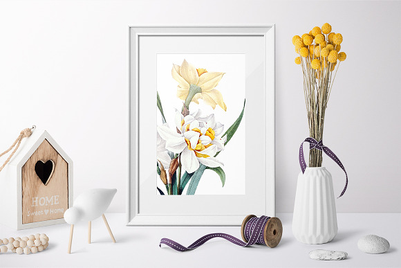 narcisses doubles Vintage Florals in Illustrations - product preview 5