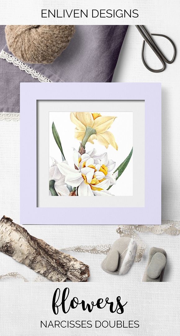 narcisses doubles Vintage Florals in Illustrations - product preview 7