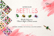 Beetle Cetoniinae,Flower Watercolor 