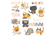 Set of cute cats in yoga asana