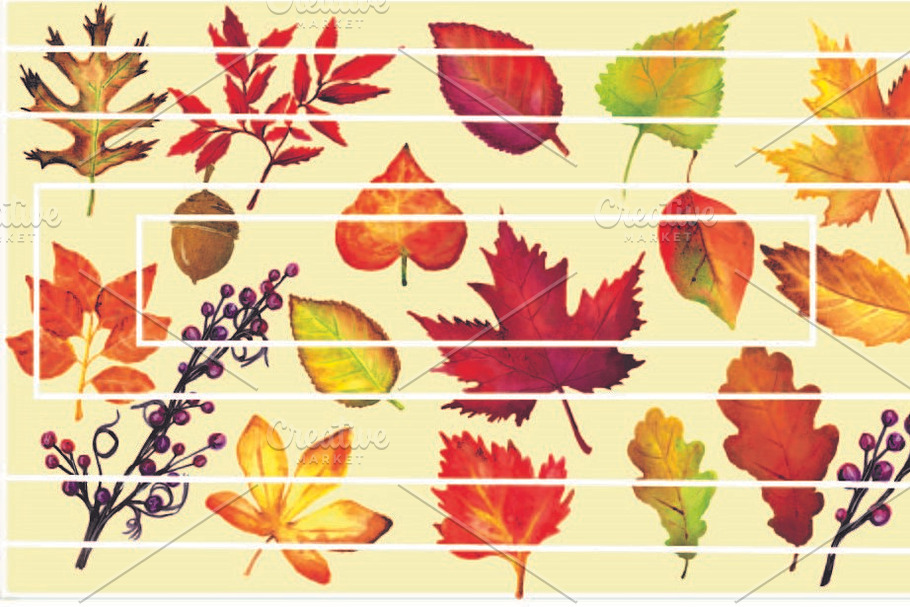 Leaves & Branches Clipart   in Illustrations - product preview 8