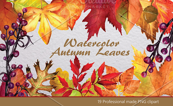 Leaves & Branches Clipart   in Illustrations - product preview 1
