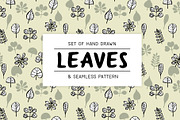 Set of hand drawn leaves and pattern