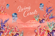 Living Corals Watercolor png