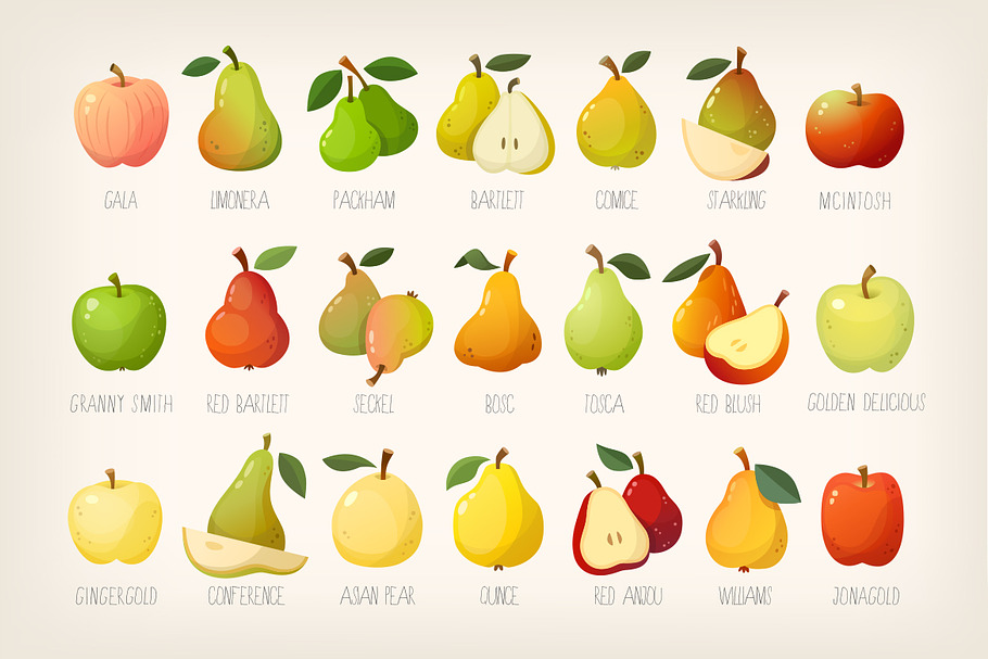 Pears and apples with names in Illustrations - product preview 8