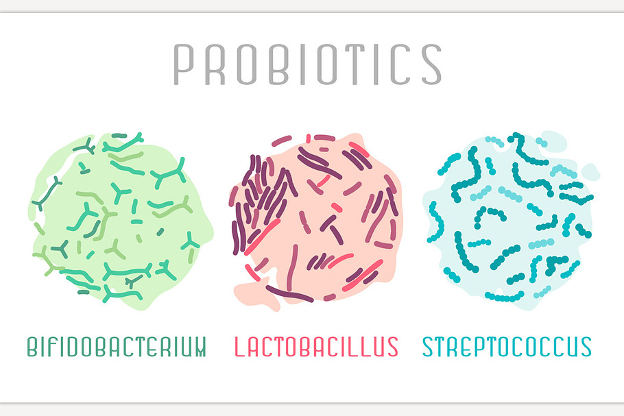  Probiotics Icon in Icons - product preview 8