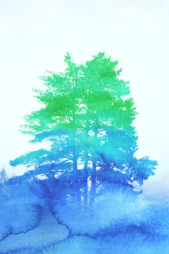 Watercolor illustration. Pine tree in Illustrations - product preview 1