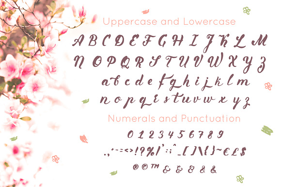 Primavera is handwritten brush font in Script Fonts - product preview 5