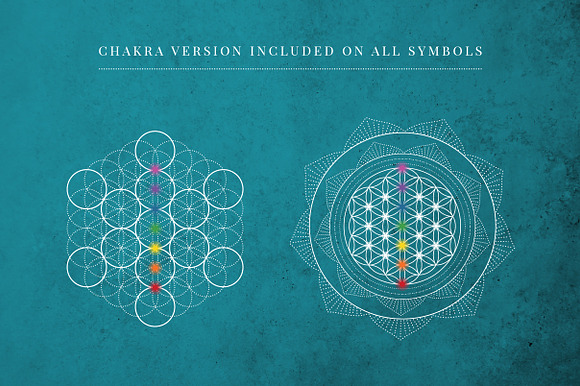 Flower of Life Vector Logo Bundle in Illustrations - product preview 5