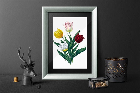 single van tholl tulips Vintage in Illustrations - product preview 5