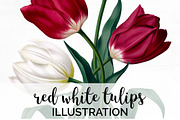 red white tulips Vintage Flowers