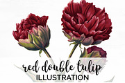 red double tulip Vintage Flowers