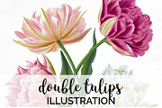 double tulips Vintage Flowers
