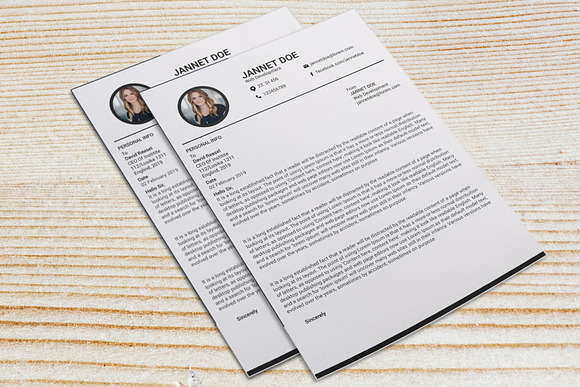 Minimal Resume/CV Template  in Resume Templates - product preview 11