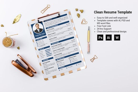 Professional Resume / CV Template in Resume Templates - product preview 2