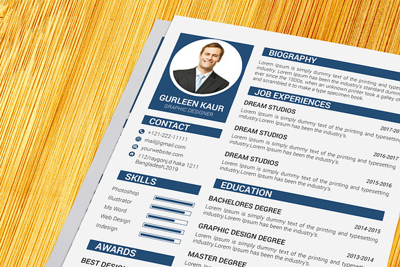Professional Resume / CV Template in Resume Templates - product preview 10