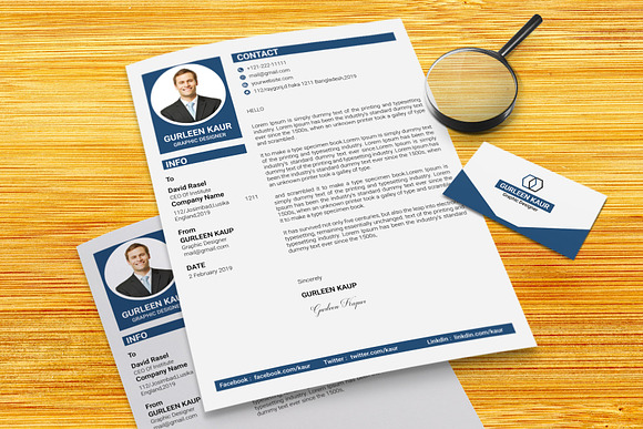 Professional Resume / CV Template in Resume Templates - product preview 11