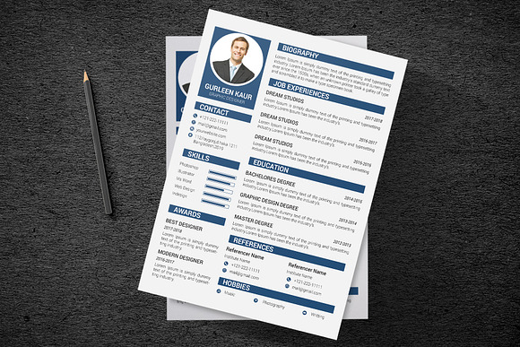 Professional Resume / CV Template in Resume Templates - product preview 12