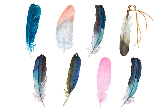 Watercolor Feathers in Illustrations - product preview 1