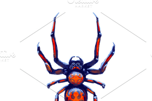 Exotic danger spider with red spots