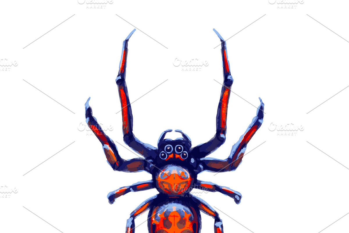 Exotic danger spider with red spots in Objects - product preview 8
