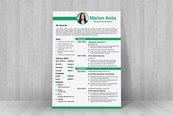 Professional Resume / CV Template in Resume Templates - product preview 7