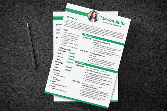 Professional Resume / CV Template in Resume Templates - product preview 9