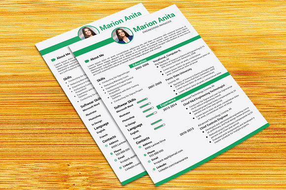 Professional Resume / CV Template in Resume Templates - product preview 10