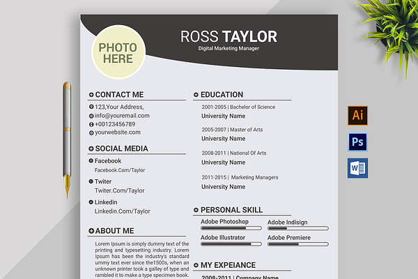 Professional resume template / CV