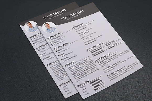 Professional resume template / CV in Resume Templates - product preview 12
