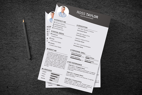 Professional resume template / CV in Resume Templates - product preview 13