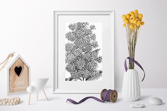 deutzia flowers Vintage Flowers in Illustrations - product preview 5