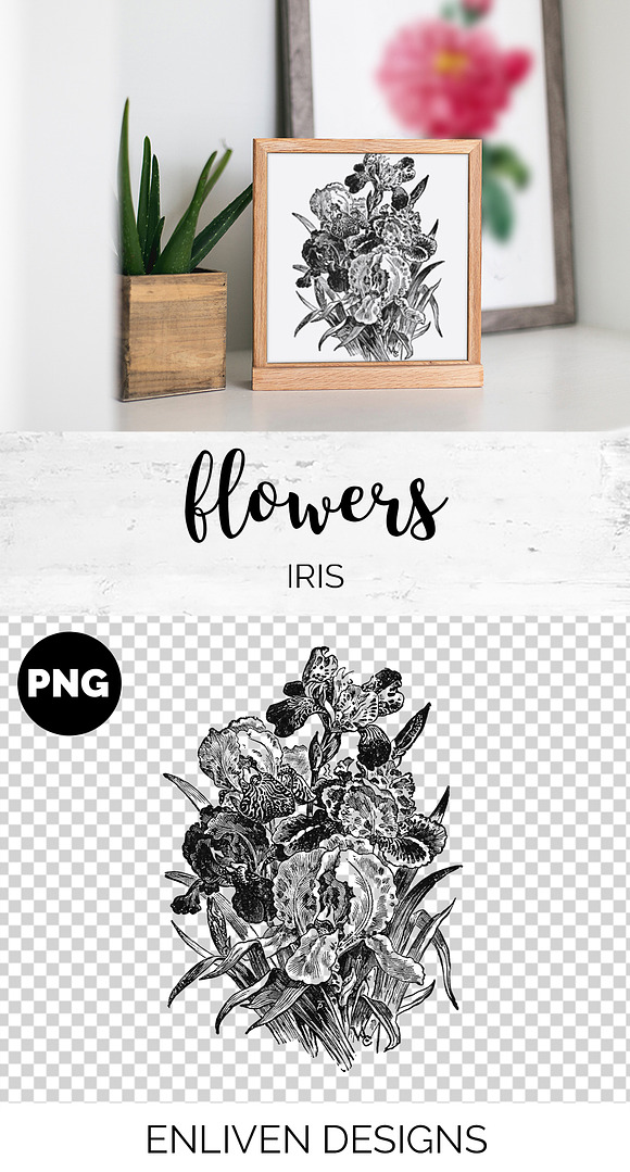 Iris Clipart Black and White Flowers in Illustrations - product preview 1