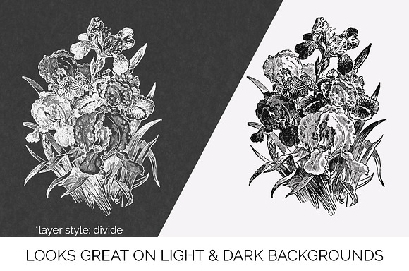 Iris Clipart Black and White Flowers in Illustrations - product preview 6