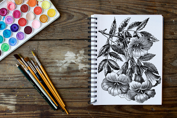 trumpet flowers Vintage Flowers in Illustrations - product preview 3