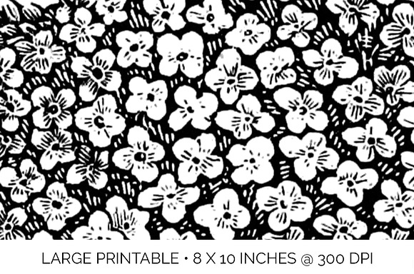 hydrangea Vintage Flowers in Illustrations - product preview 4