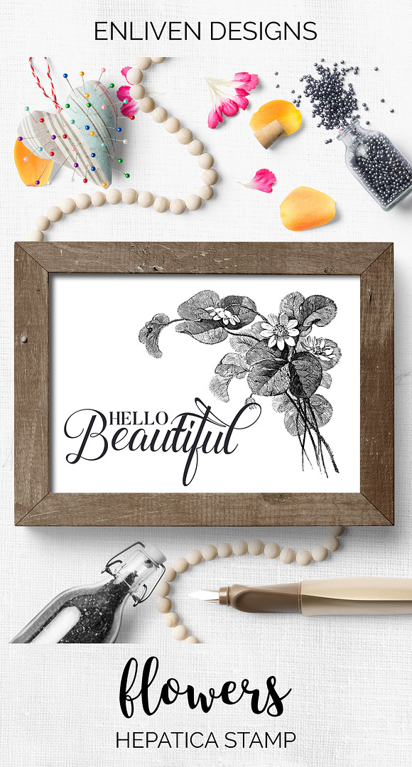 hepatica stamp Vintage Flowers in Illustrations - product preview 7