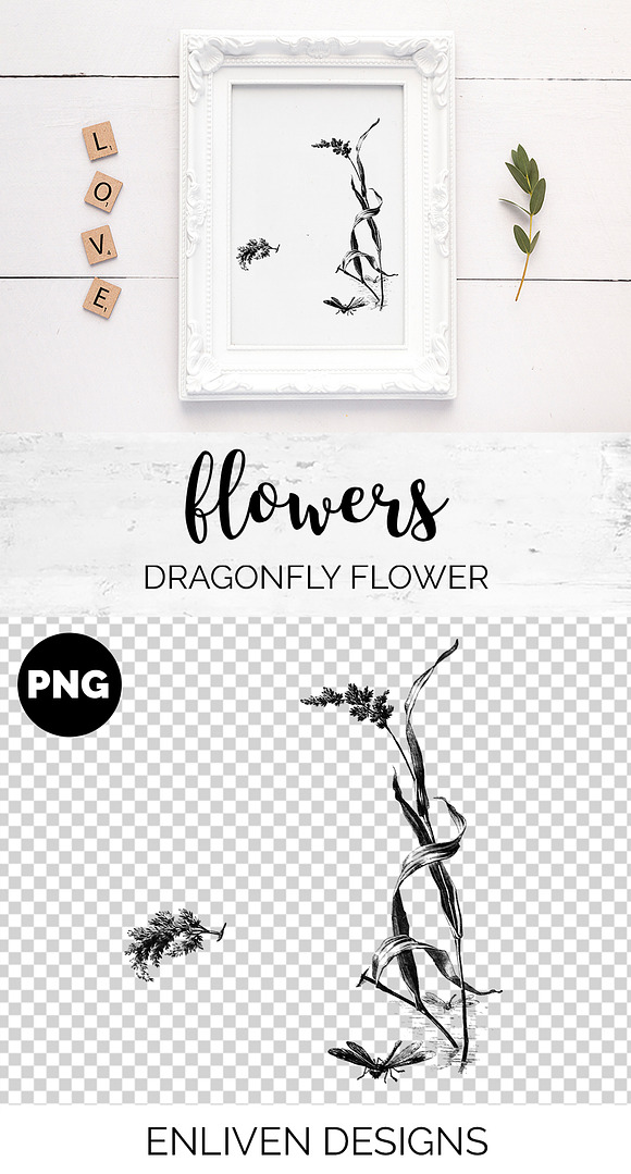 dragonfly flower Vintage Flowers in Illustrations - product preview 1