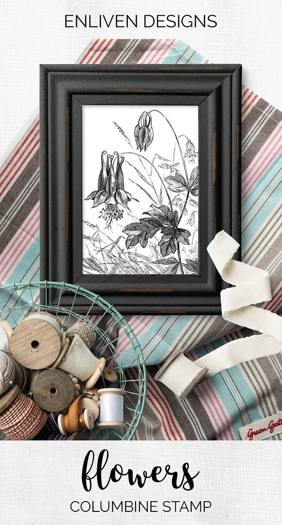 columbine stamp Vintage Flowers in Illustrations - product preview 7