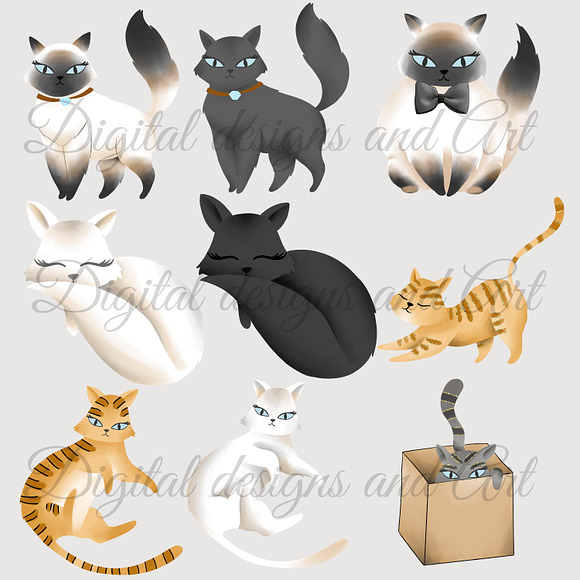 Cats clipart in Illustrations - product preview 1