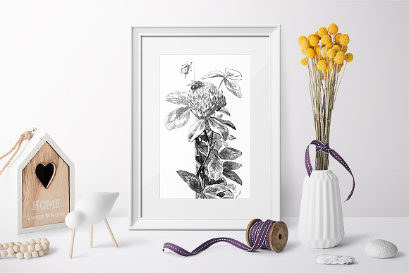 red clover stamp Vintage Flowers in Illustrations - product preview 3