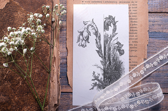 indian pipe stamp Vintage Flowers in Illustrations - product preview 3