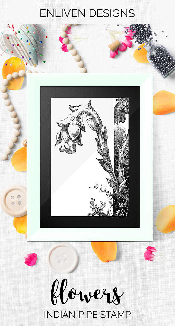 indian pipe stamp Vintage Flowers in Illustrations - product preview 7