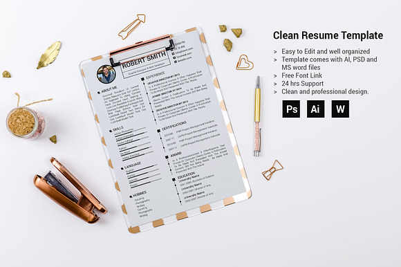 Clean Resume/CV in Resume Templates - product preview 5