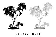 Castor Plant Contours, Silhouette