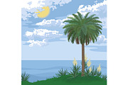 Tropical island with palm and